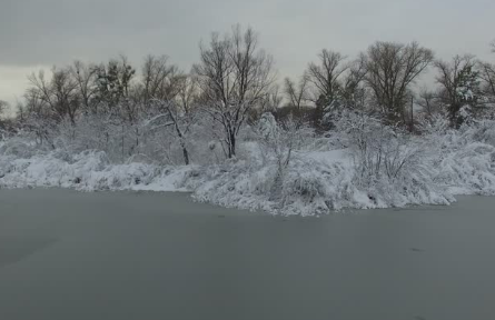 Pond Winterization Check List and Tips